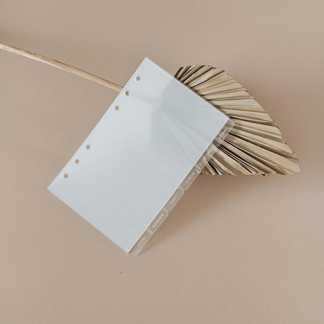 Divider with a leaf in the background