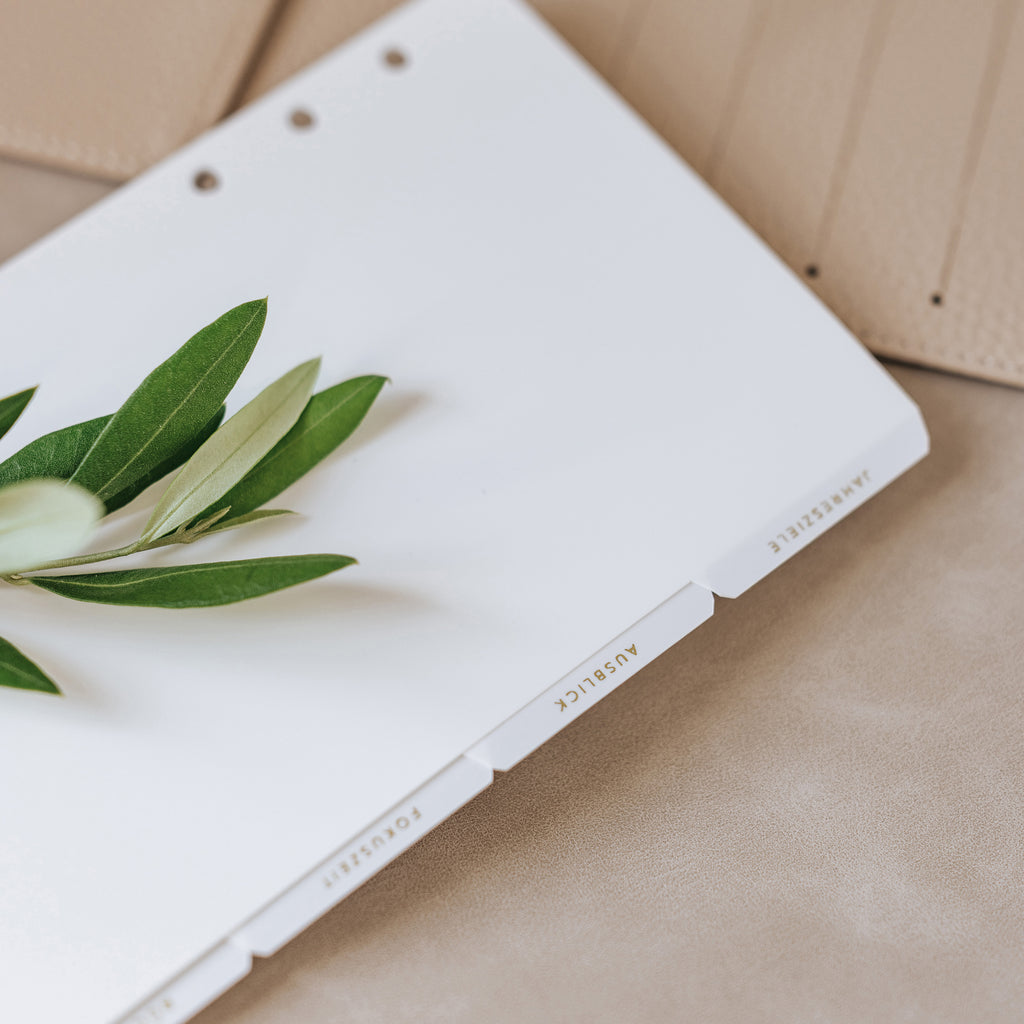 Summer Edition - Ring Planner Dividers