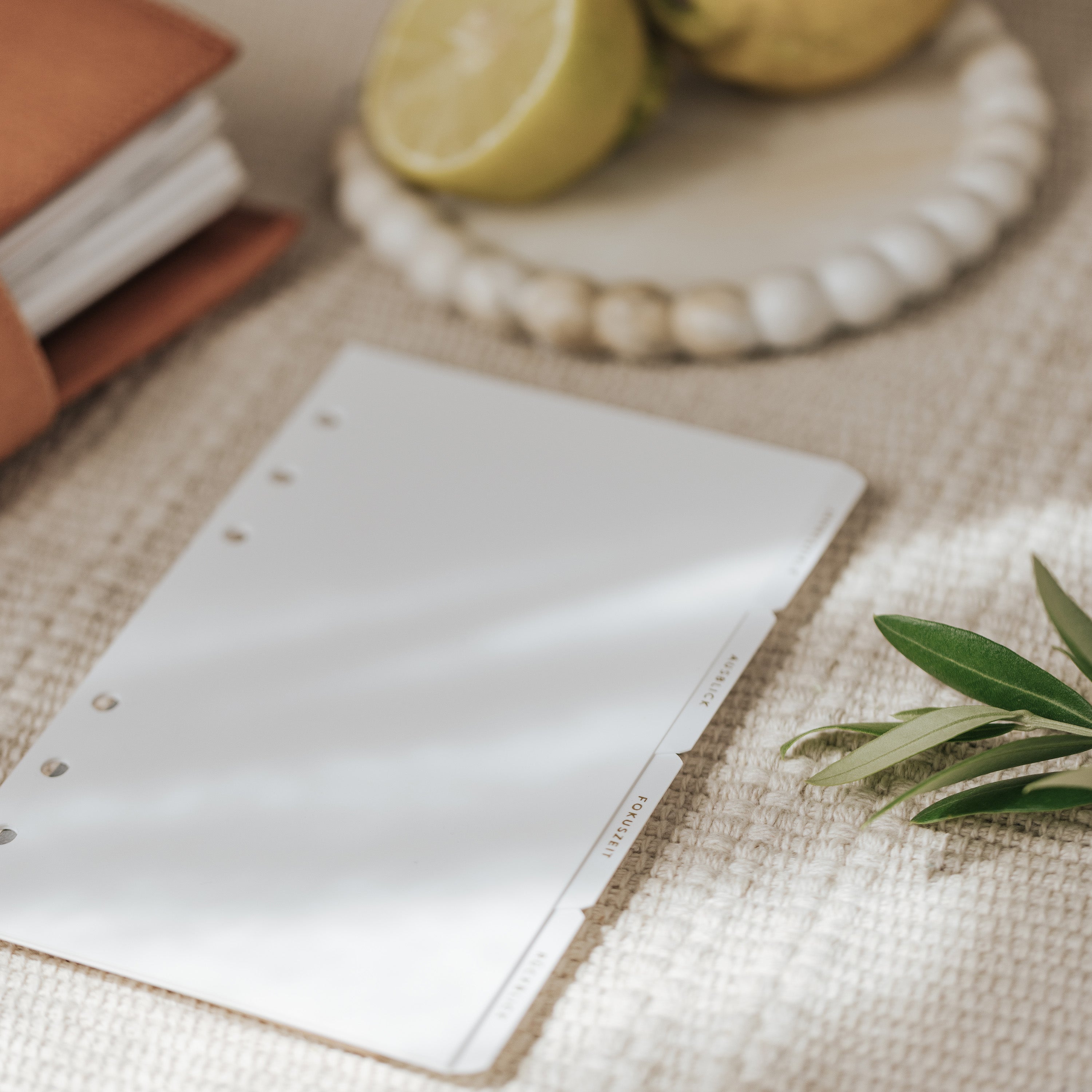 Summer Edition - Ring Planner Dividers