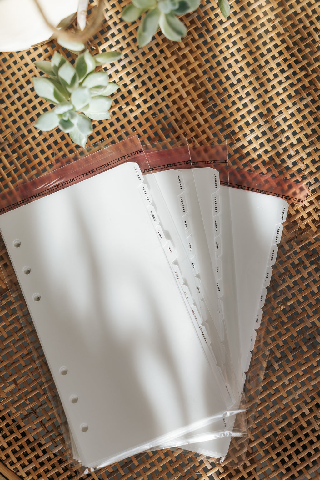 Summer Edition Monthly Dividers - Personal Size