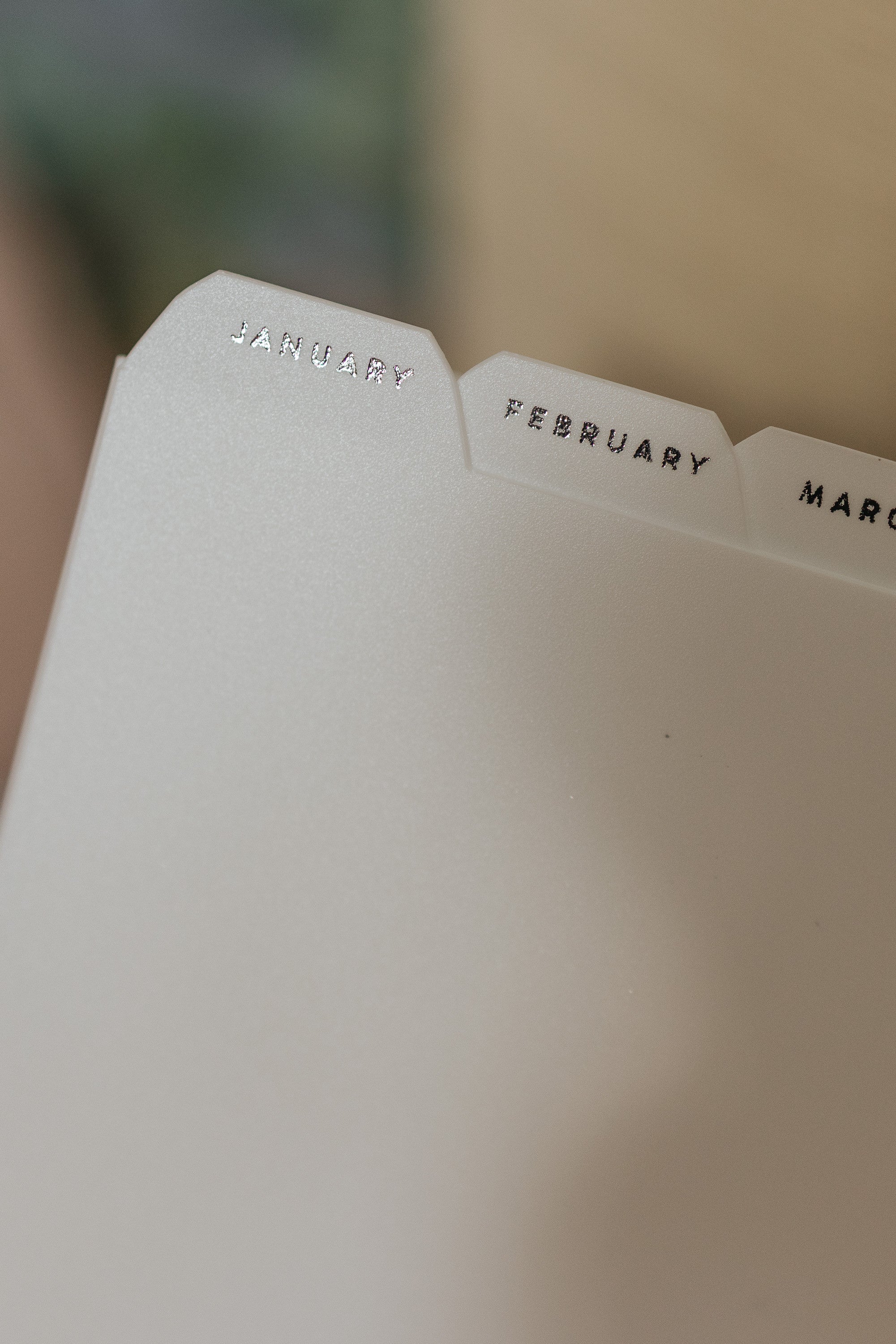 Summer Edition Monthly Dividers - Personal Size
